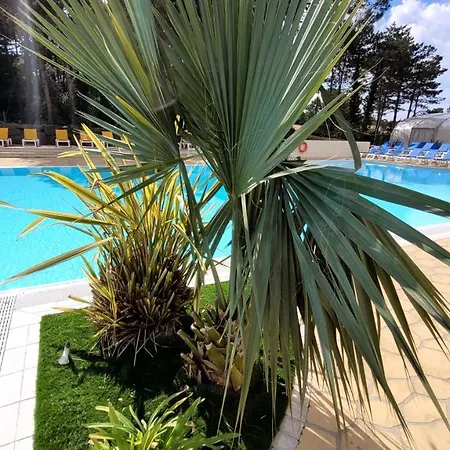 Belles Vacances En Bord De Mer Dans Camping 4 Etoiles *